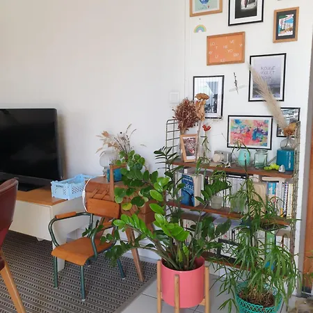 Bel Lumineux T3 Terrasse Apartman Nizza